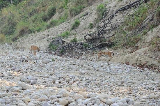 Jim Corbett Resort Ramnagar (Uttarakhand) Exterior foto