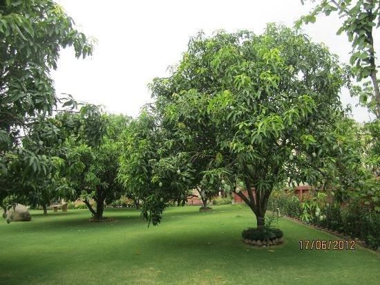 Jim Corbett Resort Ramnagar (Uttarakhand) Exterior foto
